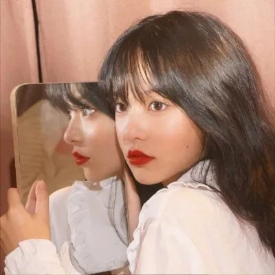 鲅鱼恋上猫